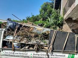 Professional Junk Removal in Walton Hills, OH